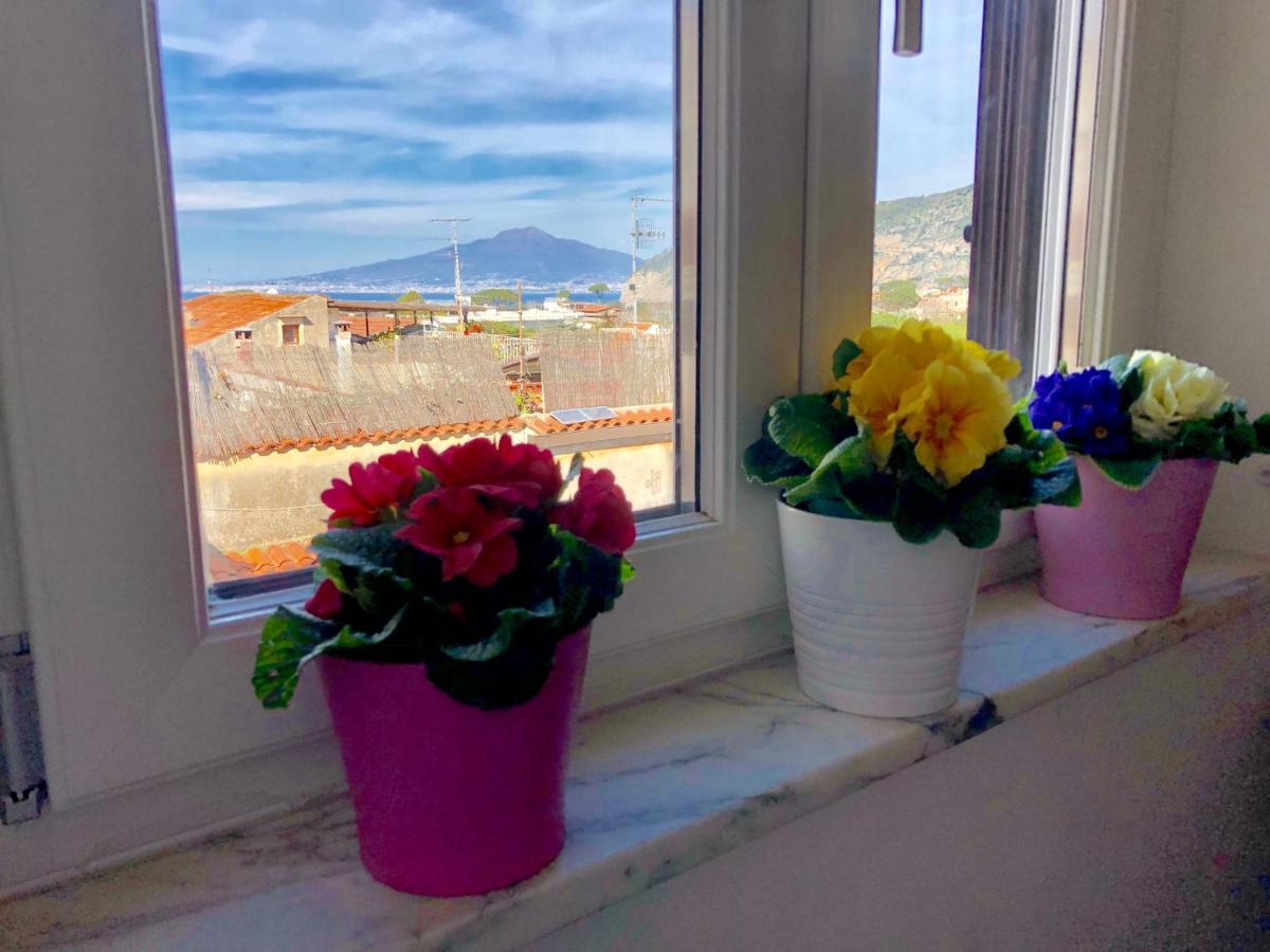 Vesuvio House Appartamento Indipendente E Centrale 圣安吉洛 外观 照片