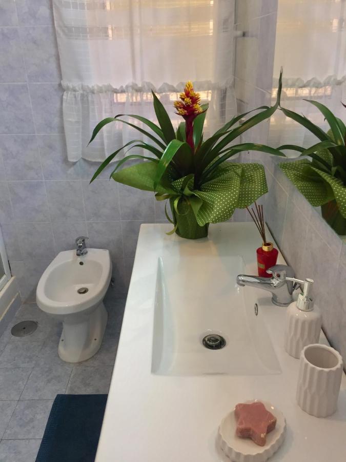 Vesuvio House Appartamento Indipendente E Centrale 圣安吉洛 外观 照片